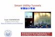 Smart Utility Tunnels - Conference of Isam SHAHROUR at ITASC 2017, Shanghai