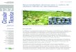 Recomendações técnicas para o cultivo de abóbora híbrida