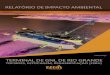 TERMINAL DE GAS- RIO GRANDE/RS  MODELAGEM E RELATÓRIO DE IMPACTO AMBIENTAL