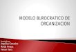 ZModelo burocratico de organizacion