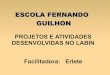 PROJETOS DESENVOLVIDOS NA ESCOLA FERNANDO GUILHON