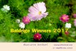 Baldrige winners 2017