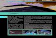 YTONG KROV - Naslovnica · PDF filekonstrukcije, Ytong krovovi, rubno povezani i ukrućeni armirano betonskim horizontalnim i kosim serklažima izuzetno su otporni na hori-zontalne