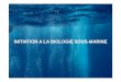 INITIATION A LA BIOLOGIE SOUS-MARINE · PDF filePrésentation du milieu marin La faune et la flore La bonne conduite LE MILIEU MARIN Le quizz Gaïdet Hakima Environnement Subaquatique