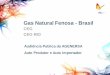 Gas Natural Fenosa - Brasil - · PDF filegás natural serão avaliadas mediante no contrato de concessão e Expansão definido nas Revisões concessão, de modo a garantir o da Concessão