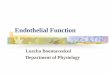 Endothelial function -  · PDF fileชนิด เพื่อเป นพื้นฐานส ําหรับศึกษาต อทาง เภสัชวิทยา