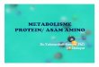 METABOLISME PROTEIN/ ASAM AMINO - ocw.usu.ac.idocw.usu.ac.id/course/download/1110000095-metabolism-system/mbs1… · diabsorpsi dari saluran pencernaan → PROSES PENCERNAAN . Perubahan