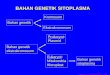 BAHAN GENETIK SITOPLASMA - from ordinary people · PDF fileLeluhur mitokondria sama dengan bakteri. Suharsono. 2005. BTK505. IPB Proses biosintesis protein di dalam sel ... (pada β,