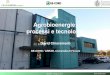 Agrobioenergie: processi e tecnologie - · PDF fileBIOSEA –Bologna, 2015 David Chiaramonti Agrobioenergie: Cogenerazione e Biocombustibili (avanzati) Cogenerazione in sistemi stazionari: