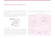 Epigenetics의 이해와 연구 - cms.takara.co.krcms.takara.co.kr/file/lsnb/No49_4-1.pdf · 23 Epigenetics의 이해와 연구 DNA 메틸화 부위의 검출 및 해석 과정 1