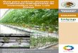 Guía para cultivar jitomate en condiciones hidropónicas de ... · PDF fileGuía para cultivar jitomate en condiciones hidropónicas de invernadero en San Luis Potosí Instituto Nacional