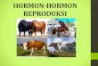 HORMON-HORMON REPRODUKSI - stppmagelang.ac.idstppmagelang.ac.id/wp-content/uploads/downloads/2014/10/Hormon... · REPRODUKSI Penting bagi kelanjutan suatu jenis /bangsa hewan Berlangsung