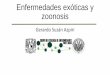 Enfermedades exóticas y zoonosis - Biodiversidad · PDF file- Generalistas de hábitat y de alimentación ... Herpesvirus B tipo 1 Herpesvirus Humano ... Viruela aviar Poxvirus Aves
