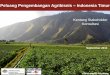Peluang Pengembangan Agribisnis Indonesia Timurei-ado.aciar.gov.au/sites/default/files/docs/potato_presentation... · Studi Rantai Nilai Kentang 8 Ruang Lingkup ... • Diproduksi