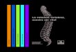 La columna vertebral, nuestro eje vital - Blog de apoyo al ... · PDF filede las curvaturas naturales de la columna vertebral. Aconsejamos la realización de estos ejercicios frente