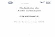 Relatório de Auto avaliação FGV/EBAPEebape.fgv.br/sites/ebape.fgv.br/files/relatorio-cpa-ano-base-2011.pdf · PIM – Partnership in International Management PRME ... 4.4 DIMENSÃO
