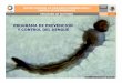 PROGRAMA DE PREVENCION Y CONTROL DEL · PDF filecentro nacional de vigilancia epidemiologica y control de enfermedades programa de vectores programa de prevencion y control del dengue