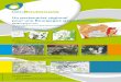 Un partenariat régional pour une Bourgogne géonumérique · PDF fileLes SIG sont ainsi utilisés pour instruire des dossiers d’ur- ... plans d’eau et tourbières, pelouses sèches