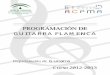 Guitarra Flamenca 20-12-12 · PDF fileflamenco e Historia del Flamenco. Será la oportuna actuación interdisciplinar garantía del éxito del proceso de enseñanza-aprendizaje y de