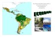 Suelos en Ecuador - European Commissioneusoils.jrc.ec.europa.eu/Library/Maps/LatinAmerica_Atlas... · ecuador‐base de datos edafica. suelos del ecuador ing. augusto gonzalez artieda