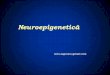 Neuroepigenetic - Fiziologie 2017.pdf · Platon recomandăreproducerea selectivăa oamenilor sănătoși, deștepți și curajoși-eugenia platonică. Hipocrate considerăcăgermenii