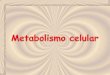 METABOLISMO CELULAR - …iespoetaclaudio.centros.educa.jcyl.es/sitio/upload/metabolismo_2... · Metabolitos ATP, GTP, NADH... Funciones vitales (gasto de energía) Catabolismoen la