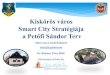 Kiskőrös város SmartCity Stratégiája a Petőfi Sándor · PDF fileA Stratégiai terv kiegészítése, a megvalósítási, oktatási, üzleti és fenntarthatósági terv, valamint