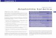 Matthias Hofer Anatomía torácica - media.axon.esmedia.axon.es/pdf/68797.pdf · rayos X, y causan por ello una mayor atenuación (debilita-miento) del haz de rayos X que el tejido