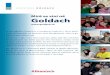 Mirë se vini në Goldach -   · PDF filePsikologji për fëmijë dhe të rrinjë, punë sociale shkollore, punë për të rrinjë mobil, punë për takimet e të rrinjëve
