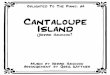 Cantaloupe Island - Herbie · PDF fileHerbie Hancock wurde 1940 in Chicago/Illinois geboren, ... cock The Headhunters, die mit der Crossover-Nummer Chameleon ihren größten Hit hatten