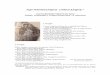 Agni Parthene Despina O Reine Jungfrau 1 - · PDF file1 Agni Parthene Despina-O Reine Jungfrau 1 Hymnos des heiligen Nektarios von Ägina Melodie: Mönche des Hl. Klosters Simonos