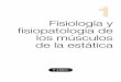 Fisiología y fisiopatología de los músculos de la estáticamedia.axon.es/pdf/89620.pdf · 4 Fisiología y fisiopatología de los músculos de la estática Puntos clave Los músculos