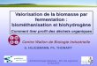 Valorisation de la biomasse par fermentation ...orbi.ulg.ac.be/bitstream/2268/181407/1/SH_ ULB_digestion anaérobie... · 21 La biométhanisation de la matière organique ... - micro-organisme