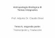 Antropología Biológica III Temas Integrados Prof. Adjunto ... · PDF fileDogma Central de la Biología Molecular secuencia lineal de d-Nucleótidos secuencia lineal de Nucleótidos