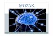 (MOZAK [Način kompatibilnosti]) - os-zupa …MOZAK_[Nacin_kompatibilnosti]… · Mali mozak Nalaz se ispod velikog mozga u stražnjem dijelu lubanje 2 hemisfere Siva tvar na površini