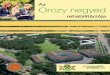 Az Orczy negyed rehabilitációja - · PDF fileelső angolparkjának, az Orczy-kert és az egykori buszgarázs átépítésével, egy hektárral nő a kerület zöldfelüle-teinek