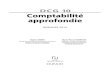 DCG 10 Comptabilité approfondie - medias.dunod.commedias.dunod.com/document/9782100716128/Feuilletage.pdf · Fiche 1 Programme officiel du DCG 10, Comptabilité approfondie 175 