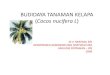 BUDIDAYA TANAMAN - FKRD Faperta IPB · PDF filesemenjak ditemukan cara membuat ... • Ketatnya saingan dari beberapa minyak nabati lain seperti kelapa sawit ... (sering di b tdisebut