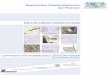 Leitfaden Kommunales GIS (Bayern) - · PDF file2 Leitfaden für kommunale GIS-Einsteiger Der Leitfaden für kommunale GIS-Einsteiger wendet sich an diebayer i-schen Kommunen: Gemeinden,