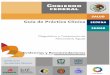 Guía de Práctica Clínica - CVSP Nodo CUCS UdeGcvsp.cucs.udg.mx/guias/TODAS/IMSS_239_09_PANCREATITIS_AGU… · pancreatitis aguda, constituyéndose en una herramienta de apoyo en