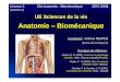 Anatomie – Biomécaniqueb.meric.free.fr/staps/Anatomie/L2_CM1_Anatomie.pdf · Introduction Qu’est-ce que l’anatomie ? Anatomie (du grec, anatomia = dissection) Anatomie descriptive