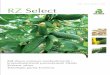 Seme i servis | Number 1 | 2012 RZ Selectrz-agro.rs/kornisoni.pdf · Orezivanje Sve bočne izdanke uklanjamo sa biljke do 50 cm visine, posle nema potrebe da orezujemo. Mladu biljku
