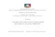 del Chievo Verona 2009/10” - · PDF filesettore tecnico della federazione italiana giuoco calcio stagione sportiva 2009-2010 corso allenatori di prima categoria – uefa pro licence