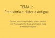TEMA 1: Prehistoria e Historia Antigua · PDF fileTEMA 1: Prehistoria e Historia Antigua Procesos históricos y principales acontecimientos en la Península Ibérica desde la Prehistoria