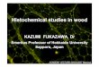 KAZUMI FUKAZAWA, Dr - 京都大学 · PDF fileKAZUMI FUKAZAWA, Dr ... (Leitz ORTHOLUX) Leitz UV microscope. ... I also thank Dr. Sano and Dr. Watanabe, Hokkaido University,