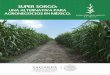 brochure sagarpa - Primus Vision · PDF fileDel año 2014 al 2016, la SAGARPA interesada en el tema de la producción de etanol anhidro, ... Proyecto Comercial Integrado diseñado