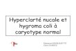 Hyperclarté nucale et hygroma coli à caryotype normalcpdpn.chu-grenoble.fr/sites/cpdpn.chu-grenoble.fr/files/public/... · –Proposer un conseil génétique –Discuter l’IMG
