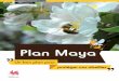MAYA brochure Fr 2013 DEF - environnement.wallonie.beenvironnement.wallonie.be/publi/education/maya.pdf · Les abeilles sont source de vie En Wallonie, 350 espèces sauvages d’abeilles