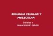 BIOLOGIA CELULAR Y MOLECULAR - …plmenna.blog.unq.edu.ar/wp-content/uploads/sites/8/2013/03/SEÑALES... · BIOLOGIA CELULAR Y MOLECULAR . Figura 15-1 Biología molecular de la célula,