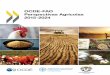 OCDE-FAO Perspectivas Agrícolas 2015- · PDF filePresentación de la edición 2015 en español E l informe sobre las Perspectivas Agrícolas 2015-2024, preparado por la Organización